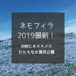 【4月20日最新】2019 海浜公園ネモフィラ&チューリップ 見頃情報！いつまで楽しめる？園内混雑や駐車場は？GWにオススメ！