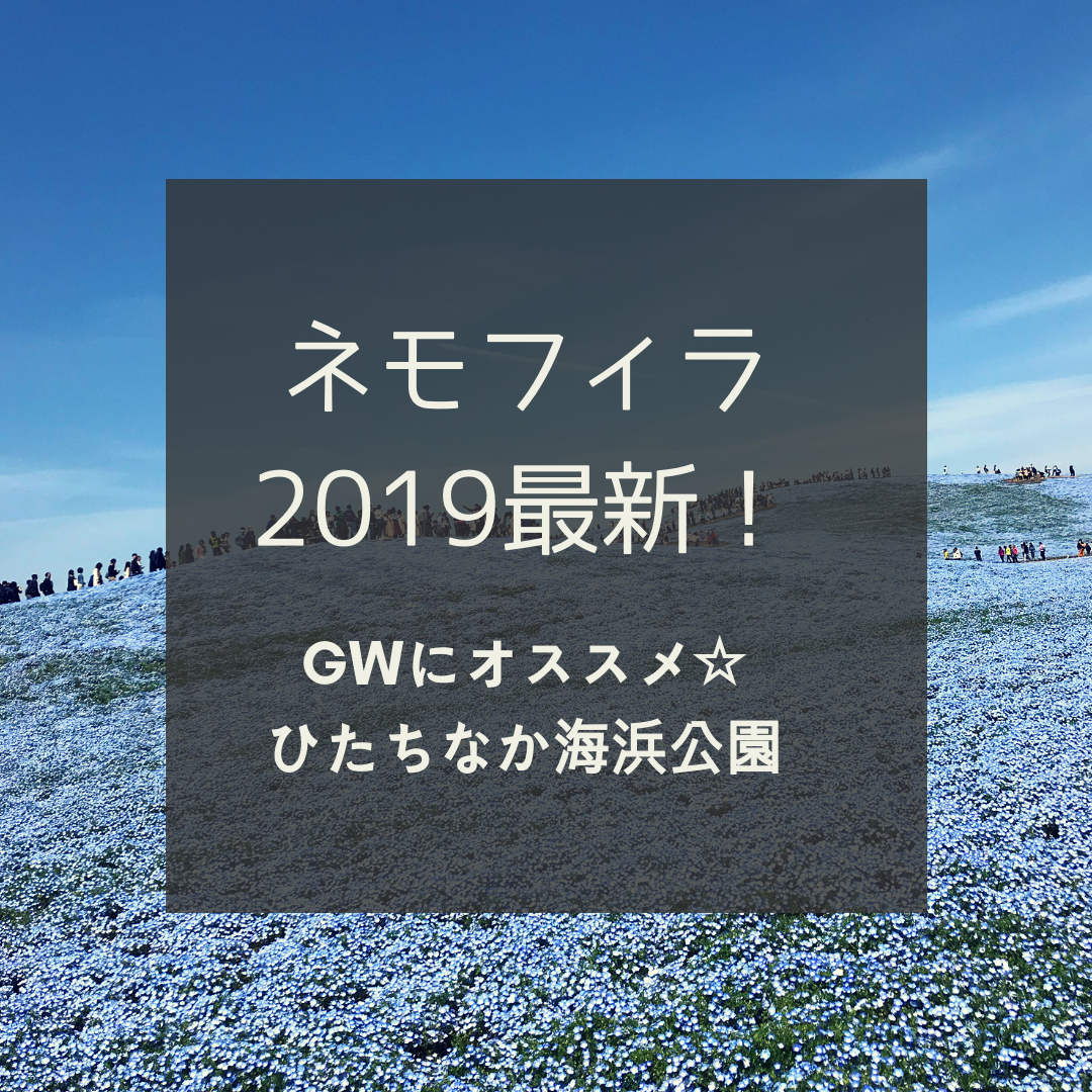 4月日最新 19 海浜公園ネモフィラ チューリップ 見頃情報 いつまで楽しめる 園内混雑や駐車場は Gwにオススメ いばママトリオ 茨城子連れ主婦のホンネ部屋 4月日最新 19 海浜公園ネモフィラ チューリップ 見頃情報 いつまで楽しめる 園内混雑や駐車場は Gwにオススメ いばママトリオ 茨城子連れ主婦のホンネ部屋