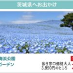 【チケット 最安値情報 入園料＋乗り放題で2300円】ひたち海浜公園　入園料＋１日フリーパス！クーポン より安い裏技 割引情報。どこよりも安くお得に！GWは家族で遊びに行こう♪