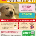 【水戸　イベント】犬の狂犬病無料！予防接種、ノミダニ、フィラリア◎